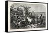 Salon of 1855, Goats, 1855-Filippo Palizzi-Framed Stretched Canvas