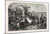 Salon of 1855, Goats, 1855-Filippo Palizzi-Mounted Giclee Print