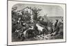 Salon of 1855, Goats, 1855-Filippo Palizzi-Mounted Premium Giclee Print