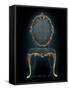 Salon XVI-Arnie Fisk-Framed Stretched Canvas