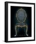 Salon XVI-Arnie Fisk-Framed Art Print