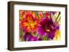 Salpiglossis Flowers in Full Bloom-Terry Eggers-Framed Photographic Print