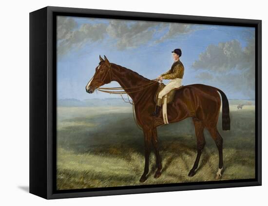 Salpinctes, a Race Horse-Harry Hall-Framed Stretched Canvas