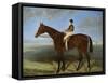 Salpinctes, a Race Horse-Harry Hall-Framed Stretched Canvas