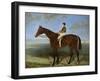 Salpinctes, a Race Horse-Harry Hall-Framed Giclee Print