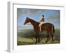 Salpinctes, a Race Horse-Harry Hall-Framed Giclee Print