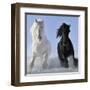 Salt And Pepper (detail)-V^ Makarova-Framed Art Print