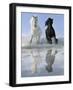 Salt And Pepper-V^ Makarova-Framed Art Print