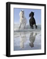 Salt And Pepper-V^ Makarova-Framed Art Print