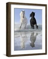 Salt And Pepper-V^ Makarova-Framed Art Print