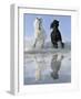 Salt And Pepper-V^ Makarova-Framed Art Print