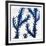 Salt and Sea 4-Kimberly Allen-Framed Art Print