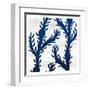 Salt and Sea 4-Kimberly Allen-Framed Art Print