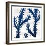 Salt and Sea 4-Kimberly Allen-Framed Art Print