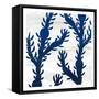 Salt and Sea 4-Kimberly Allen-Framed Stretched Canvas