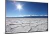 Salt Badwater Formations in Death Valley National Park-tobkatrina-Mounted Photographic Print