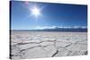 Salt Badwater Formations in Death Valley National Park-tobkatrina-Stretched Canvas