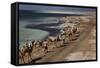 Salt Caravan in Djibouti, Going from Assal Lake to Ethiopian Mountains, Djibouti, Africa-Olivier Goujon-Framed Stretched Canvas