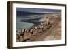 Salt Caravan in Djibouti, Going from Assal Lake to Ethiopian Mountains, Djibouti, Africa-Olivier Goujon-Framed Photographic Print