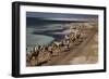 Salt Caravan in Djibouti, Going from Assal Lake to Ethiopian Mountains, Djibouti, Africa-Olivier Goujon-Framed Photographic Print