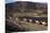 Salt Caravan in Djibouti, Going from Assal Lake to Ethiopian Mountains, Djibouti, Africa-Olivier Goujon-Mounted Photographic Print