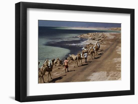 Salt Caravan in Djibouti, Going from Assal Lake to Ethiopian Mountains, Djibouti, Africa-Olivier Goujon-Framed Photographic Print