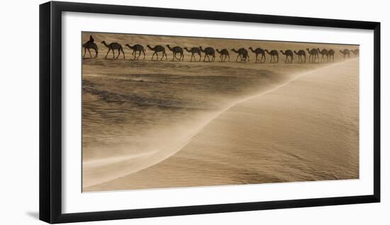 Salt caravan, Sahara Desert, Mali-Art Wolfe-Framed Photographic Print