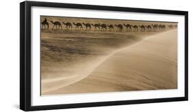 Salt caravan, Sahara Desert, Mali-Art Wolfe-Framed Premium Photographic Print