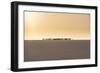 Salt caravan transporting salt through the desert, Oasis Fachi, Tenere desert, Niger-Michael Runkel-Framed Photographic Print