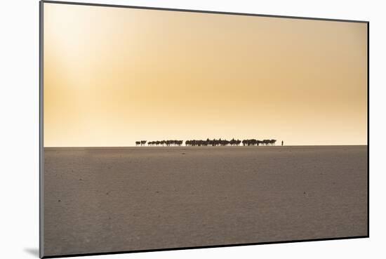 Salt caravan transporting salt through the desert, Oasis Fachi, Tenere desert, Niger-Michael Runkel-Mounted Photographic Print