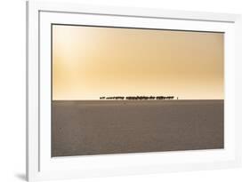 Salt caravan transporting salt through the desert, Oasis Fachi, Tenere desert, Niger-Michael Runkel-Framed Photographic Print