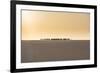 Salt caravan transporting salt through the desert, Oasis Fachi, Tenere desert, Niger-Michael Runkel-Framed Photographic Print