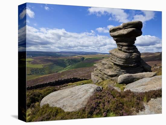 Salt Cellar Rock, Derwent Edge, with Purple Heather Moorland, Peak District National Park, Derbyshi-Neale Clark-Stretched Canvas