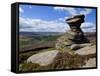 Salt Cellar Rock, Derwent Edge, with Purple Heather Moorland, Peak District National Park, Derbyshi-Neale Clark-Framed Stretched Canvas