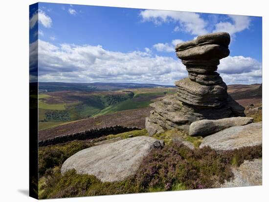 Salt Cellar Rock, Derwent Edge, with Purple Heather Moorland, Peak District National Park, Derbyshi-Neale Clark-Stretched Canvas