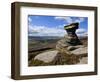 Salt Cellar Rock, Derwent Edge, with Purple Heather Moorland, Peak District National Park, Derbyshi-Neale Clark-Framed Photographic Print