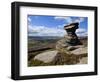 Salt Cellar Rock, Derwent Edge, with Purple Heather Moorland, Peak District National Park, Derbyshi-Neale Clark-Framed Photographic Print