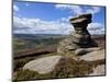 Salt Cellar Rock, Derwent Edge, with Purple Heather Moorland, Peak District National Park, Derbyshi-Neale Clark-Mounted Photographic Print