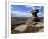 Salt Cellar Rock, Derwent Edge, with Purple Heather Moorland, Peak District National Park, Derbyshi-Neale Clark-Framed Photographic Print