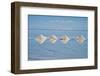 Salt cones on the reflected surface of the salt flat, Salar de Uyuni, Potosi Department, Bolivia.-Keren Su-Framed Photographic Print