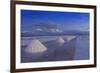 Salt Cones, Salar De Uyuni, Potosi, Bolivia, South America-Gabrielle and Michel Therin-Weise-Framed Photographic Print