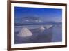 Salt Cones, Salar De Uyuni, Potosi, Bolivia, South America-Gabrielle and Michel Therin-Weise-Framed Photographic Print