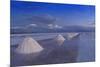 Salt Cones, Salar De Uyuni, Potosi, Bolivia, South America-Gabrielle and Michel Therin-Weise-Mounted Photographic Print