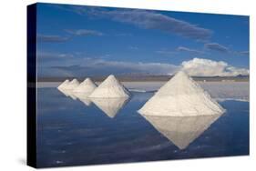 Salt Cones, Salar De Uyuni, Potosi, Bolivia, South America-Gabrielle and Michel Therin-Weise-Stretched Canvas