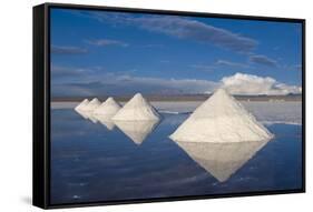 Salt Cones, Salar De Uyuni, Potosi, Bolivia, South America-Gabrielle and Michel Therin-Weise-Framed Stretched Canvas