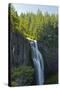 Salt Creek Falls, Willamette National Forest, Oregon, USA-Michel Hersen-Stretched Canvas