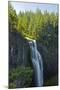 Salt Creek Falls, Willamette National Forest, Oregon, USA-Michel Hersen-Mounted Photographic Print