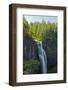 Salt Creek Falls, Willamette National Forest, Oregon, USA-Michel Hersen-Framed Photographic Print