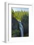 Salt Creek Falls, Willamette National Forest, Oregon, USA-Michel Hersen-Framed Photographic Print