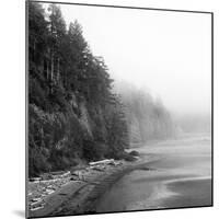 Salt Creek III-Laura Marshall-Mounted Photographic Print